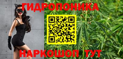 ALPHA PVP Бузулук