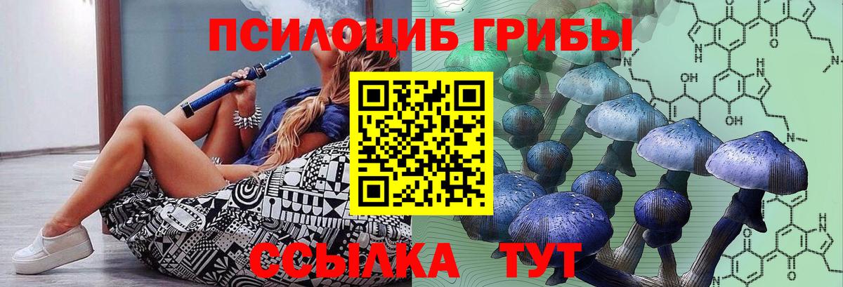 Псилоцибиновые грибы Psilocybine cubensis  Вход с VPN  Псилоцибиновые грибы мухоморы  Тольятти 